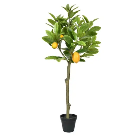 3ft. Potted Lemon Tree {1}