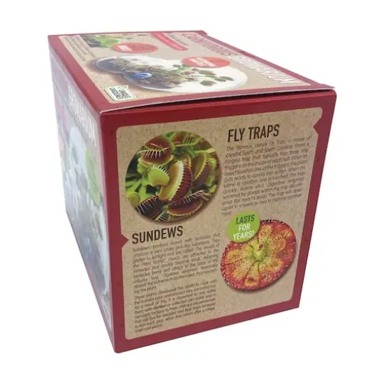 Double Sphere Glass Terrarium - Carnivorous Growarium {5}