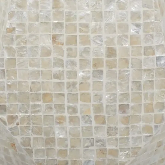 19'' Cream Mussel Shells and Wood Contemporary Accent Table {5}