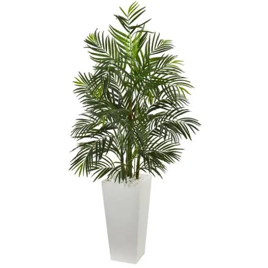 5ft. Areca Palm Tree in White Planter {1}