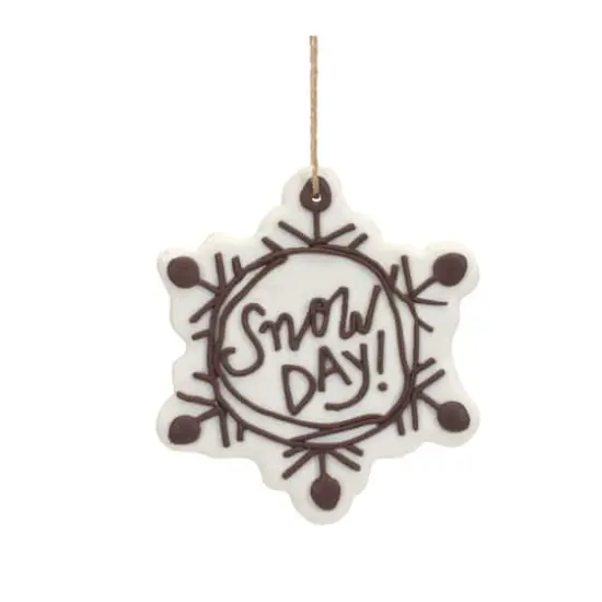 12 Pack Snowflake Sentiment Ornaments {4}