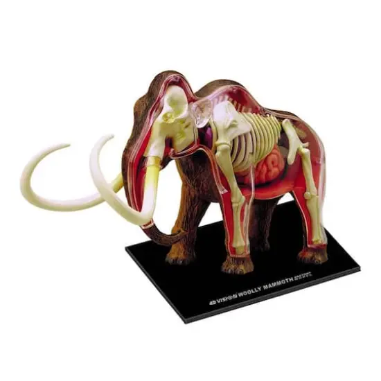 4D Vision&trade; Wooly Mammoth Anatomy Model {1}