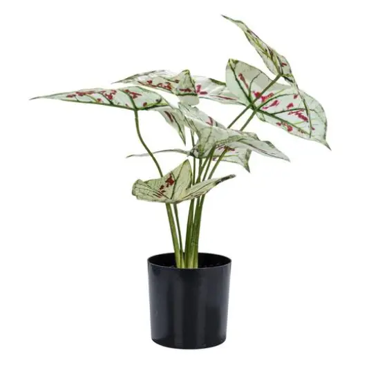 Hello Honey® 15" Green & Red Faux Elephant Ear Plant in Plastic Pot {8}