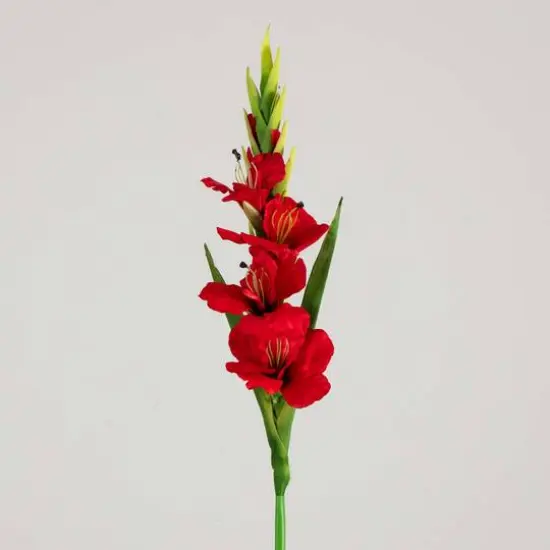 45" Red Gladiolus Flower Stems, 3ct. {8}