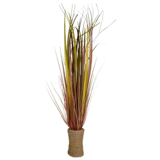 2.8ft. Red Grass Plant in Rope Pot {1}
