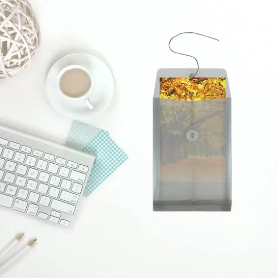 JAM Paper 6.25" x 9.25" Button & String Tie Closure Plastic Envelopes, 12ct. Smoke Gray {7}