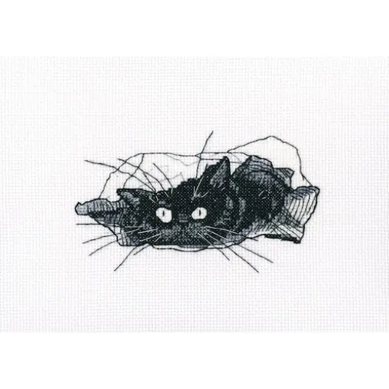 RTO Among Black Cats M667 Cross Stitch Kit {1}