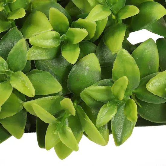 5" Boxwood Leaf Mat by Ashland&reg; {3}