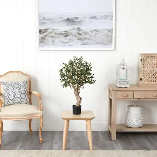 2.5ft. Potted Olive Tree {4}