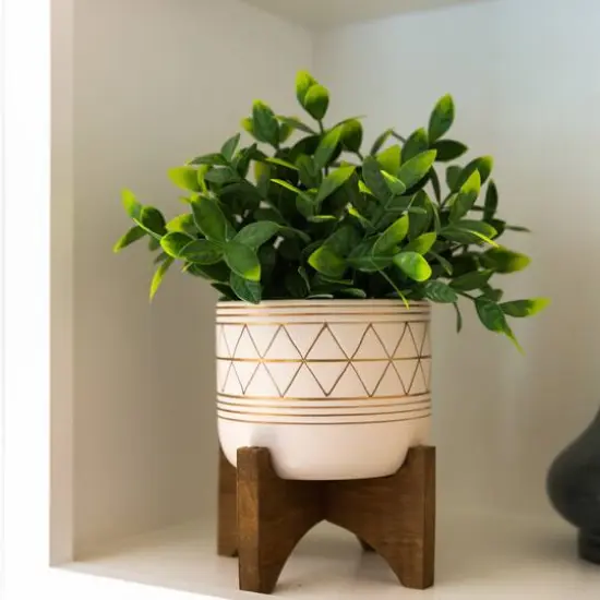 Flora Bunda&reg; 11" Tea Plant in Geo Ceramic Footed Pot {4}