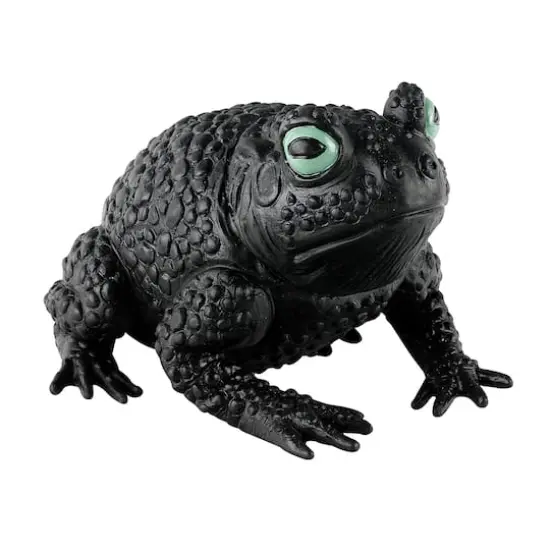 10" Black Frog by Ashland&reg; {1}