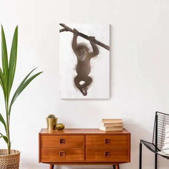 Hanging Monkey 16" x 24" Canvas Wall Art {5}