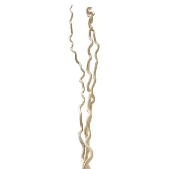 Cream Curly Willow Branch Bundle by Ashland&reg; {1}