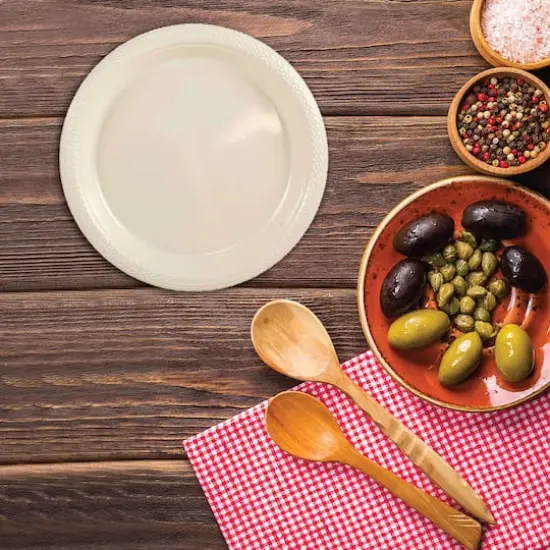 JAM Paper 9" Plastic Party Plates, 20ct. Ivory {3}