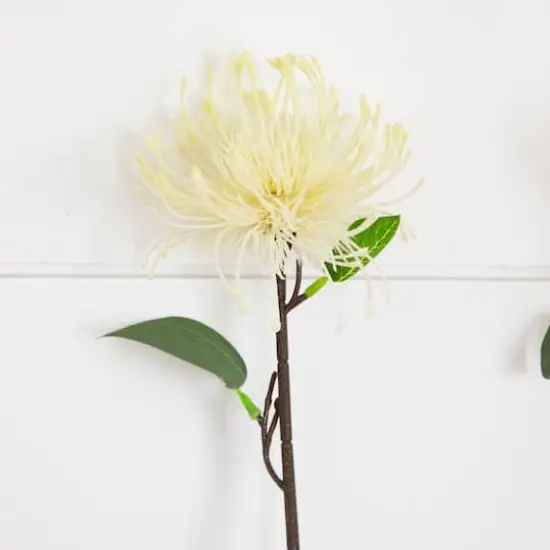 24in. Artificial Pincushion Protea Flower Stem - Set of 4 {4}