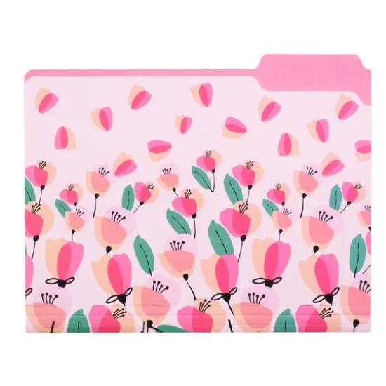 Steel Mill & Co.&reg; Pink Poppy File Folders, 9ct. {4}