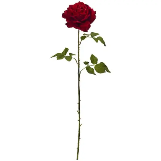 Elegant Red Giant Rose Stem, 4ct. {1}