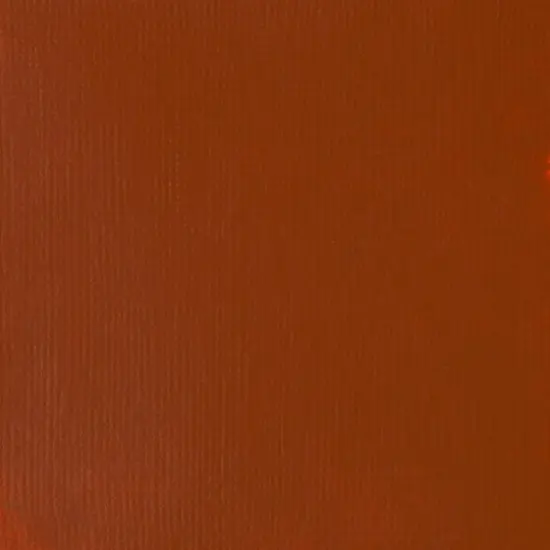 Liquitex&reg; BASICS&reg; Acrylic Fluid, 4oz. Burnt Sienna {3}