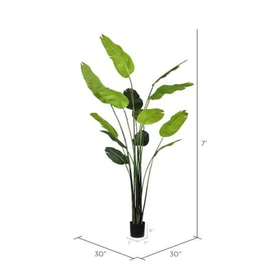 7ft. Potted Travellers Palm Tree {4}