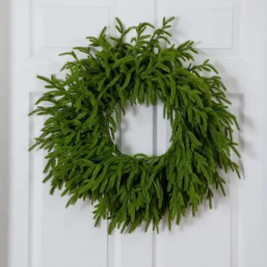 20in. Pre-Lit Artificial Real Touch Norfolk Island Pine Wreath with 35 Warm White LED Lights and Natural Look {11}