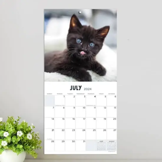 TF Publishing 2024 Kittens Mini Calendar {5}