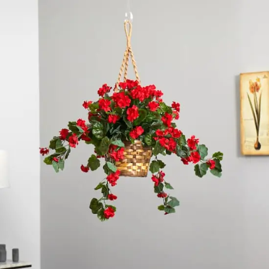 2.5ft. Geranium Hanging Basket {5}