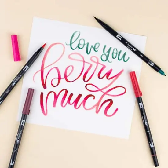 Tombow Very Berry Dual Brush Pen Set {9}
