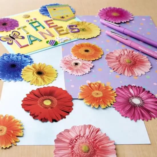 Gerbera Daisy Die Cut Stickers by Recollections&trade; {3}
