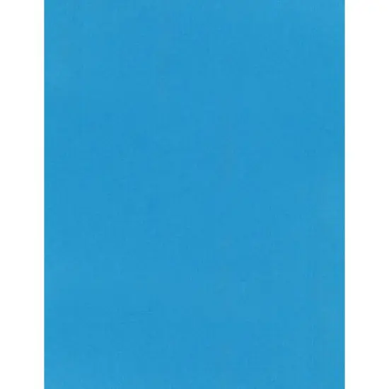 PA Paper™ Accents 8.5" x 11" 74lb. Cardstock, 25 Sheets Bluebird {2}