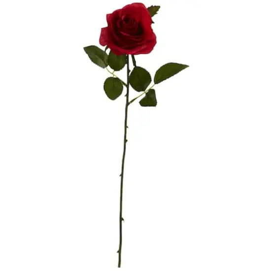 Red Rose Flower Stem, 24ct. {1}