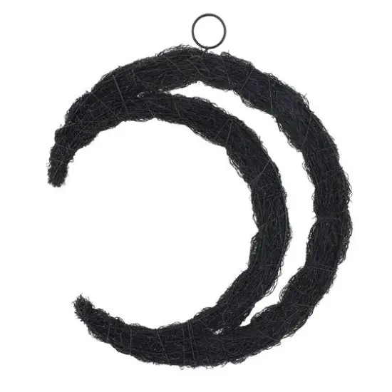 16" Black Moon Wreath by Ashland&reg; {4}