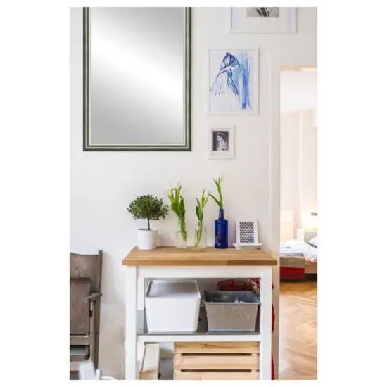 Timeless Frames&reg; Cassia Champagne 24" x 37" Framed Mirror {4}