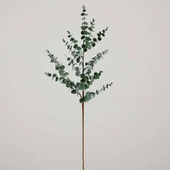 40" Green Eucalyptus Stems, 3ct. {9}