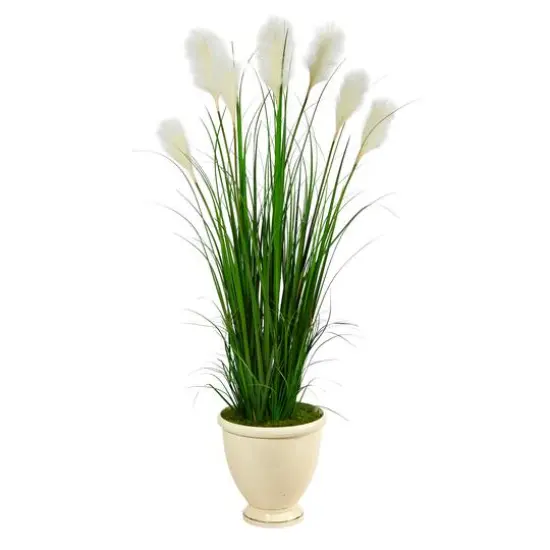 5ft. Wheat Plume Grass Plant in Urn Planter {1}