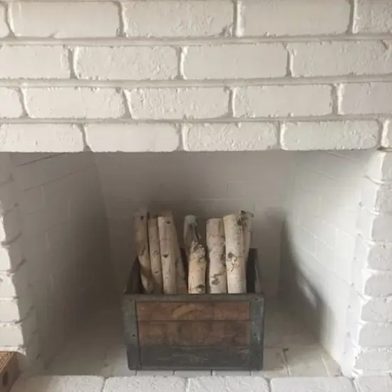 Wilson® Enterprises 5"-6" Large White Birch Fireplace Set, 5ct. {5}