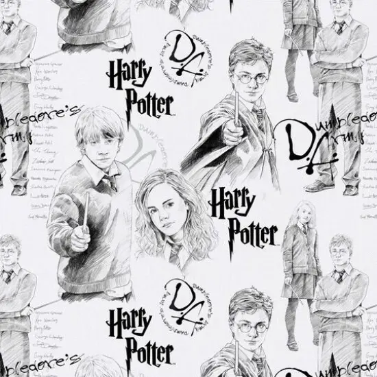 Harry Potter Mystery Magic Cotton Fabric 8yd. Bolt {1}