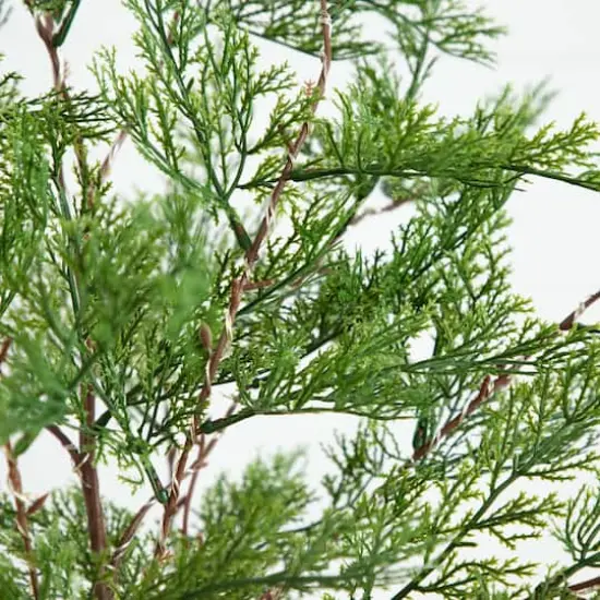 3ft. Pre-Lit Artificial Cypress Tree with Warm White LED Lights {9}