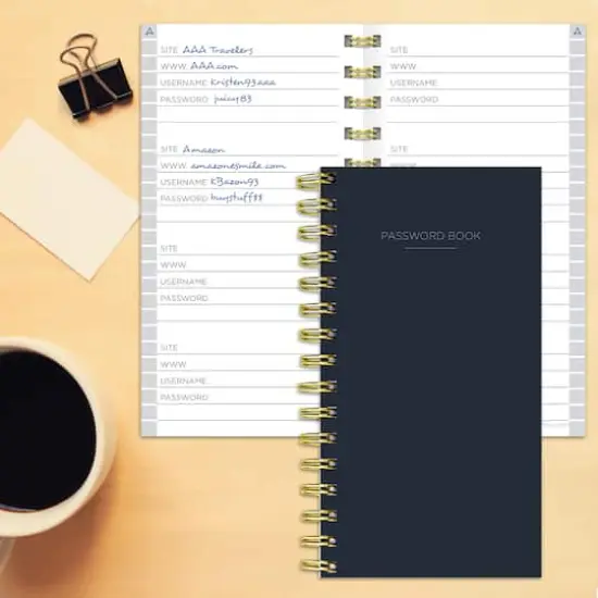 TF Publishing Joy Spiral Password Book {4}