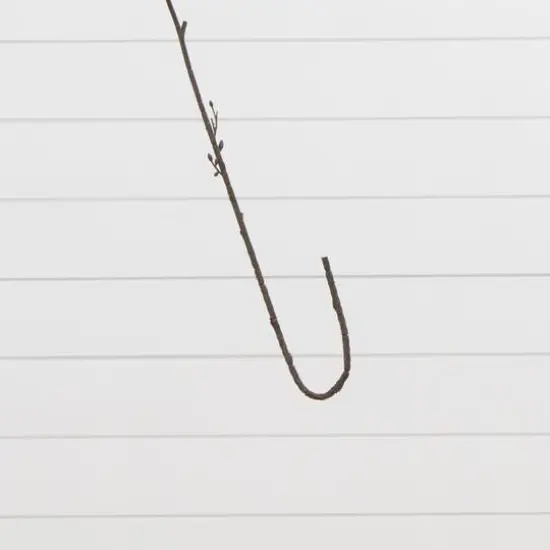 24in. Artificial Pincushion Protea Flower Stem - Set of 4 {7}