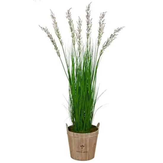 5.3ft. Wheat Grass Plant in Farmhouse Planter {1}