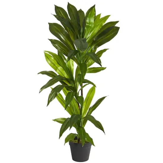 3ft. Dracaena Artificial Plant (Real Touch) {1}