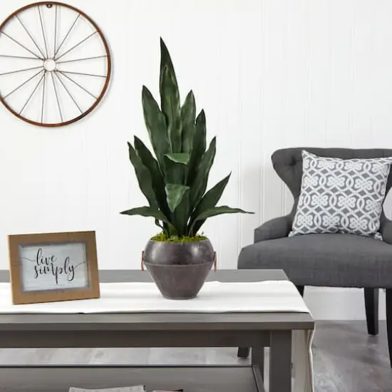 2.5ft. Snake Plant in Decorative Metal Bowl {4}