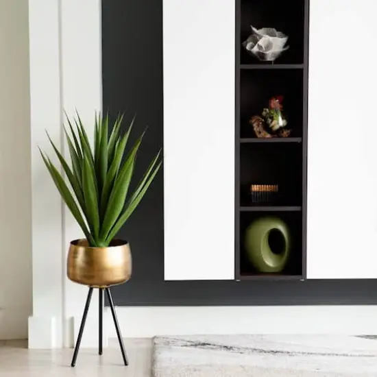 2ft. Agave Plant {3}