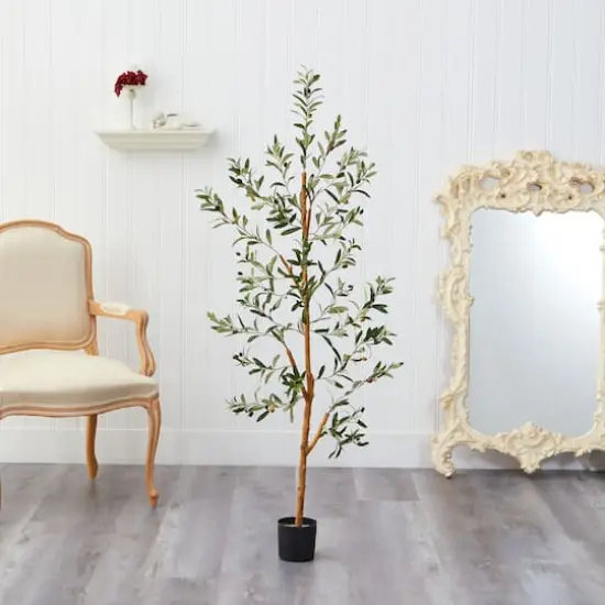 4.5ft. Potted Sparse Olive Tree {4}
