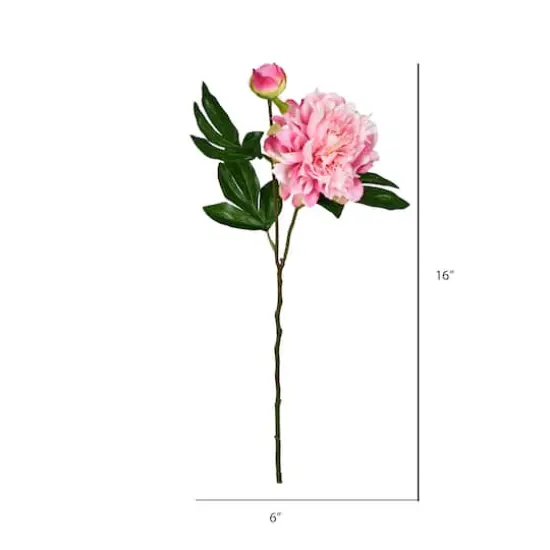 Light Pink Peony Stem, 6ct. {3}