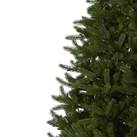 7.5ft. Pre-Lit Rembrandt Artificial Christmas Tree, Clear Lights {5}