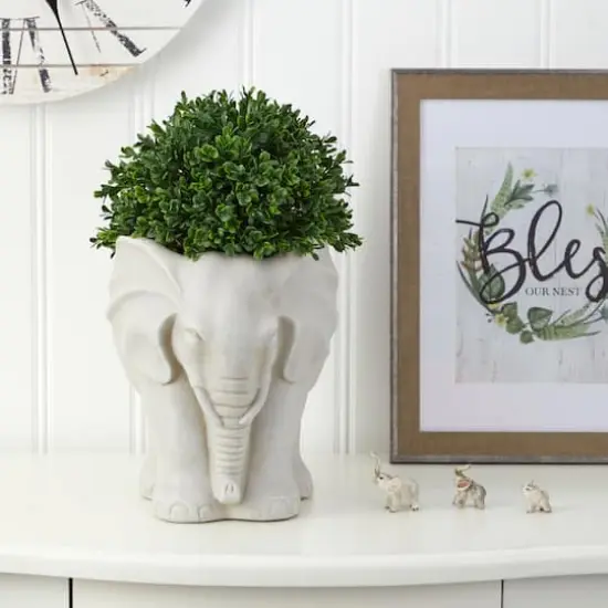 16" Boxwood Topiary Plant in Elephant Shaped Planter {6}