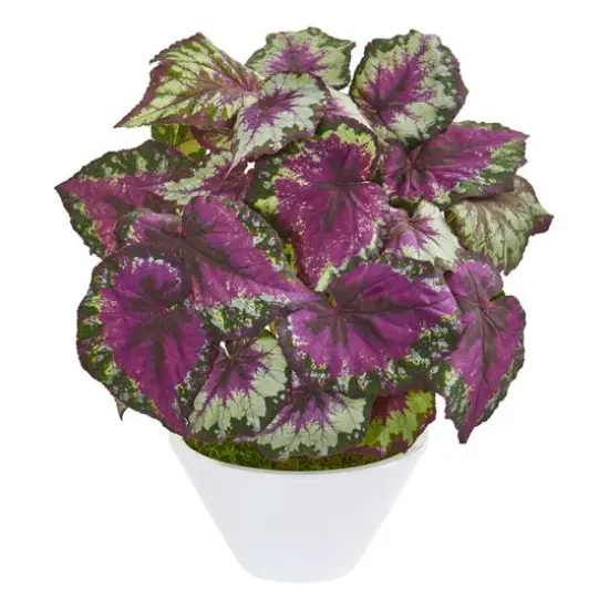 19" Green & Purple Begonia in White Vase {1}