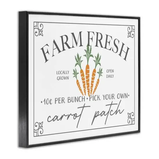 Stupell Industries Farm Fresh Carrot Patch Seasonal Springtime Vegetables Framed Giclee Art Black {4}