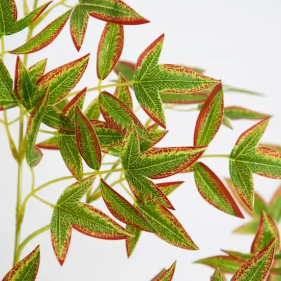 6ft. Green Autumn Nandina Artificial Potted Tree {5}